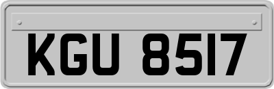 KGU8517