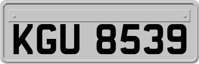 KGU8539