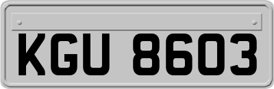 KGU8603