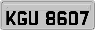 KGU8607