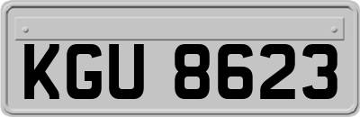 KGU8623