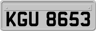 KGU8653