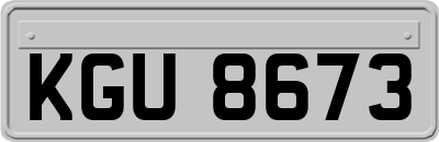 KGU8673