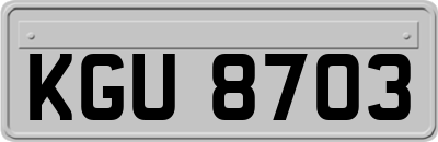 KGU8703