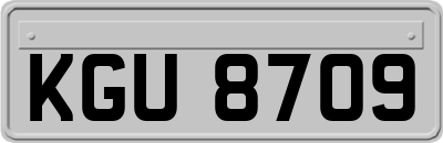 KGU8709
