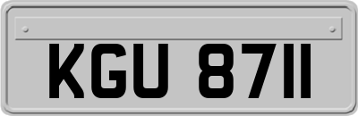 KGU8711