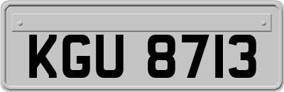 KGU8713