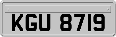 KGU8719