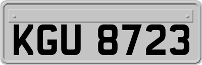 KGU8723