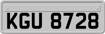 KGU8728