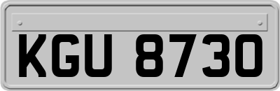 KGU8730