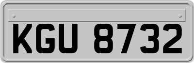 KGU8732