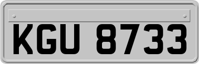 KGU8733