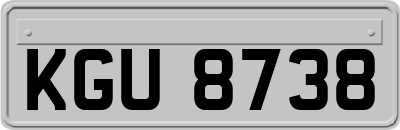 KGU8738