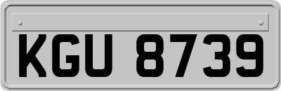 KGU8739