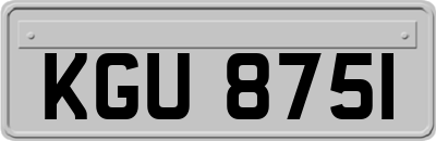 KGU8751