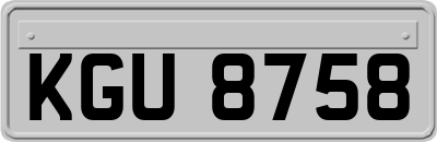 KGU8758