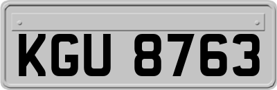 KGU8763