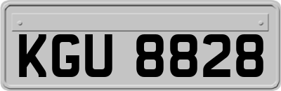 KGU8828