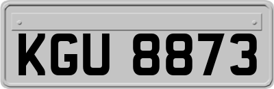 KGU8873