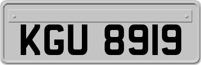 KGU8919