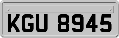 KGU8945