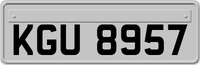 KGU8957