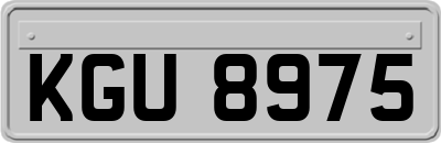 KGU8975