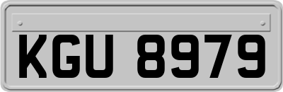 KGU8979