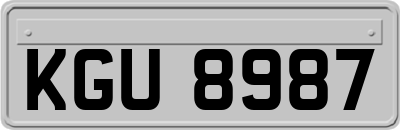KGU8987