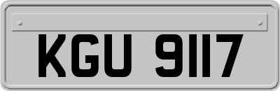 KGU9117