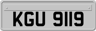 KGU9119