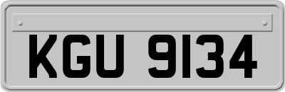 KGU9134
