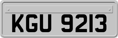 KGU9213