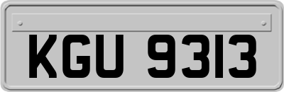 KGU9313