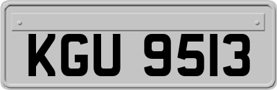 KGU9513