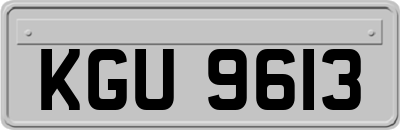 KGU9613