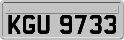 KGU9733