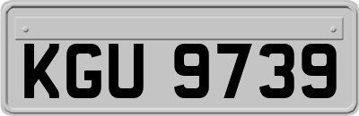 KGU9739