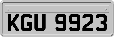 KGU9923