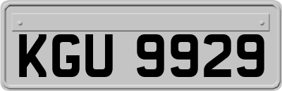 KGU9929