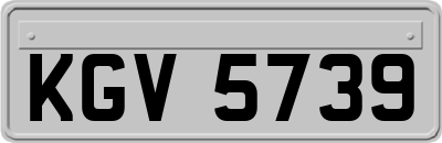 KGV5739