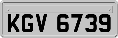 KGV6739
