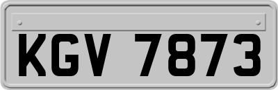 KGV7873