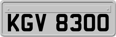 KGV8300