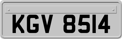 KGV8514