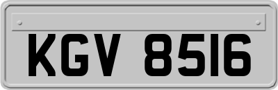 KGV8516