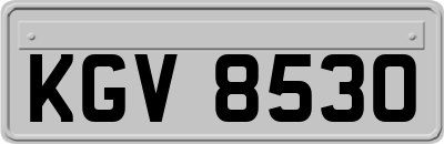 KGV8530