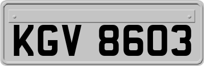 KGV8603