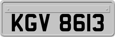 KGV8613